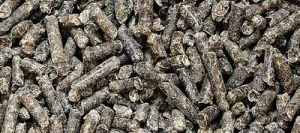 Pulpe de betterave en pellet BIO - Matière première