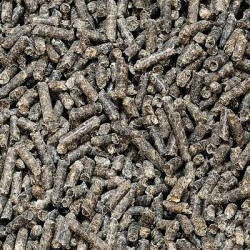 Pulpe de betterave en pellet BIO - Matière première