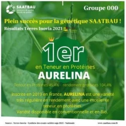 Soja AURELINA 000 AB non traité