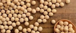 Soja CHIAKI 0 AB Hicoat Super