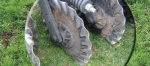 Mélange graminées RENOV non traité