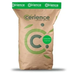 Ray grass Anglais DELIKA non traité