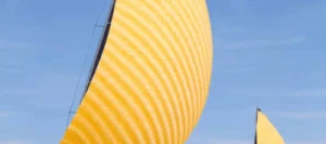 Blé dur VOILUR VIBRANCE GOLD