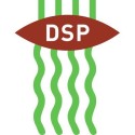 DSP Semences SUISSE