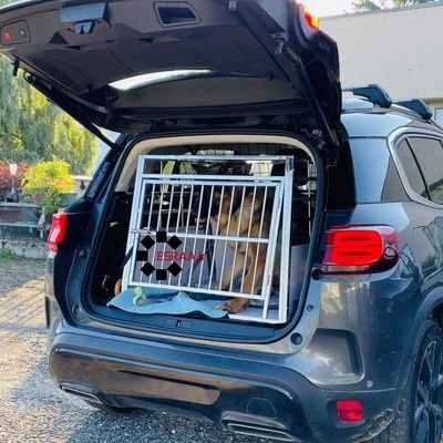 CAGE Transport CHIEN Inox - Qualité-Prix