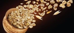 Avoine CROQUANT blanche AB non traité