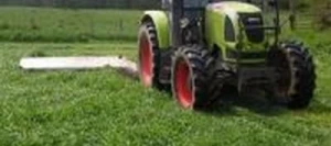 Ray grass hybride PLETOR non traité