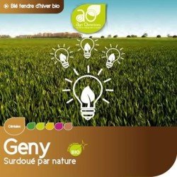 Blé tendre GENY AB COPSEED
