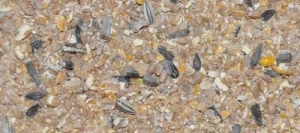 POULE PONDEUSE NATURE - Aliment