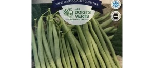 Haricot nain sans fil OXINEL - LES DOIGTS VERTS