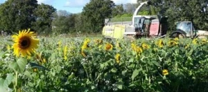 Couverts METHA ENERGIE non traité