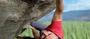 Blé tendre ARTIMUS AB COPSEED