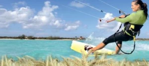 Triticale KITESURF AB non traité