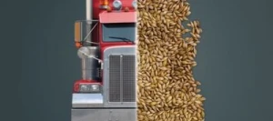 Orge 6R ZORICA VIBRANCE GOLD