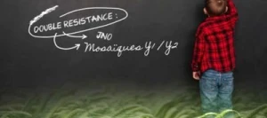 Orge 2R MAJUSCULE VIBRANCE GOLD