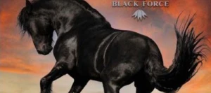 Avoine BLACK FORCE noire VIBRANCE GOLD