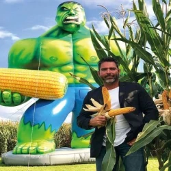 Maïs précoce HULK MEGA MaïsPROTECTOR