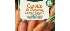 Carotte Chantenay à Cœur Rouge 2 - VILMORIN