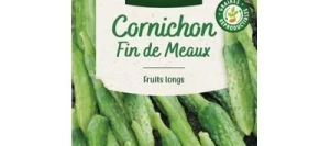 Cornichon FIN DE MEAUX - VILMORIN
