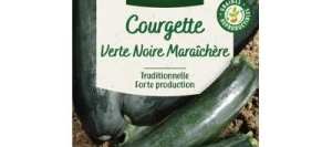Courgette VERTE NOIRE MARAÎCHÈRE - VILMORIN