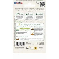 Courgette VERTE NOIRE MARAÎCHÈRE - VILMORIN