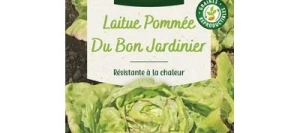 Laitue DU BON JARDINIER - VILMORIN