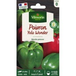 Poivron YOLO WONDER - VILMORIN