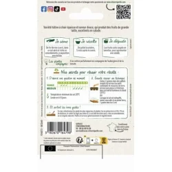 Poivron YOLO WONDER - VILMORIN