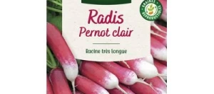 Radis PERNOT Clair - VILMORIN