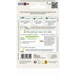 Radis PERNOT Clair - VILMORIN