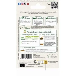 Tomate CERISE - VILMORIN