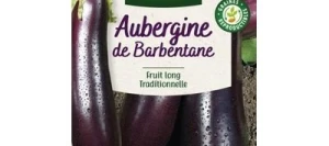 Aubergine DE BARBENTANE - VILMORIN