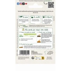 Aubergine DE BARBENTANE - VILMORIN