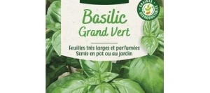 Basilic GRAND VERT - VILMORIN