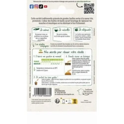 Basilic GRAND VERT - VILMORIN