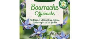 Bourrache Officinale - VILMORIN
