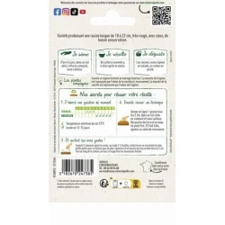 Carotte Longue de MEAUX - VILMORIN