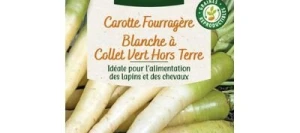 Carotte Blanche à Collet Vert hors terre - VILMORIN