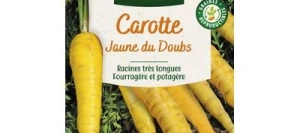 Carotte Jaune du Doubs - VILMORIN