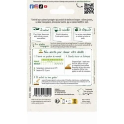 Carotte Jaune du Doubs - VILMORIN