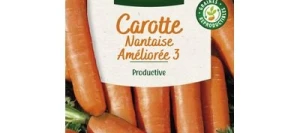 Carotte NANTAISE AMÉLIORÉE 3 - VILMORIN
