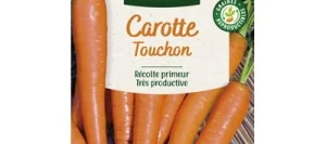 Carotte TOUCHON - VILMORIN