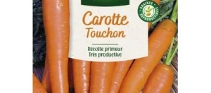Carotte TOUCHON - VILMORIN