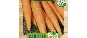 Carotte BERLIKUMER 2 BIO - VILMORIN