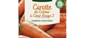 Carotte de COLMAR à CŒUR ROUGE 2 - VILMORIN