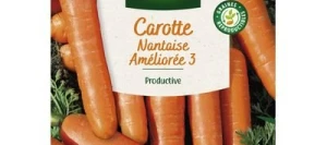 Carotte NANTAISE AMÉLIORÉE 3 - VILMORIN