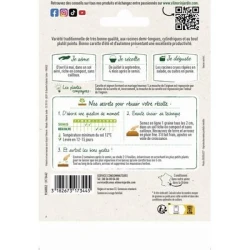 Carotte NANTAISE AMÉLIORÉE 3 - VILMORIN