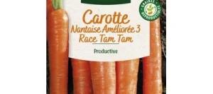 Carotte Nantaise Améliorée 3 race Tam Tam - VILMORIN