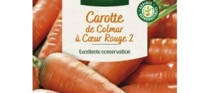 Carotte de COLMAR à CŒUR ROUGE 2 - VILMORIN