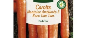 Carotte Nantaise Améliorée 3 race Tam Tam - VILMORIN